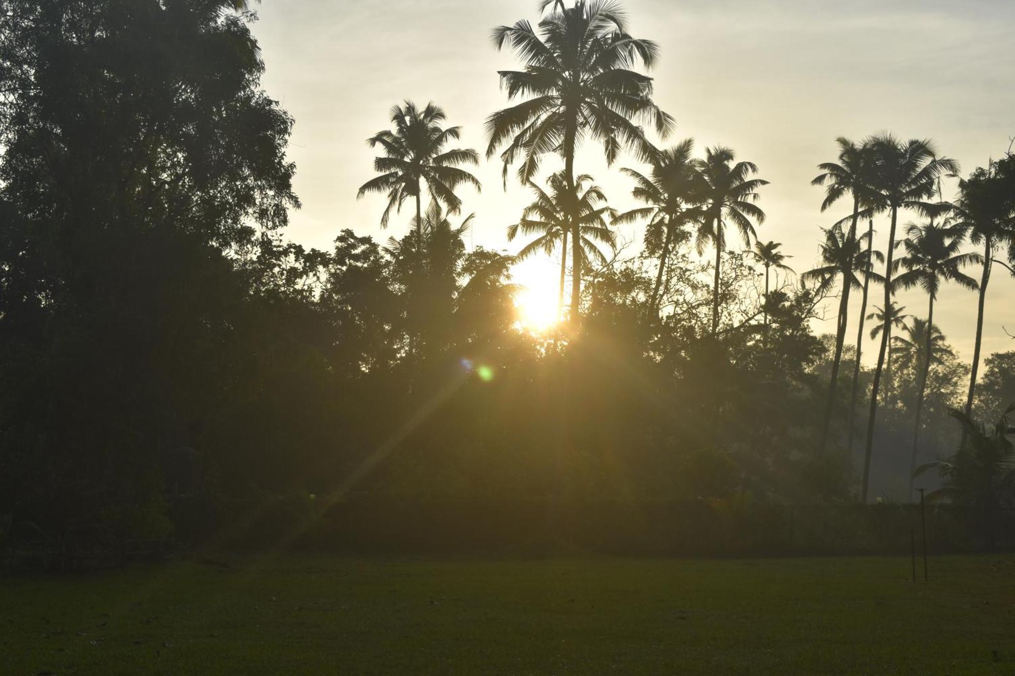 Marari Beach Palace Mararikulam Exterior photo